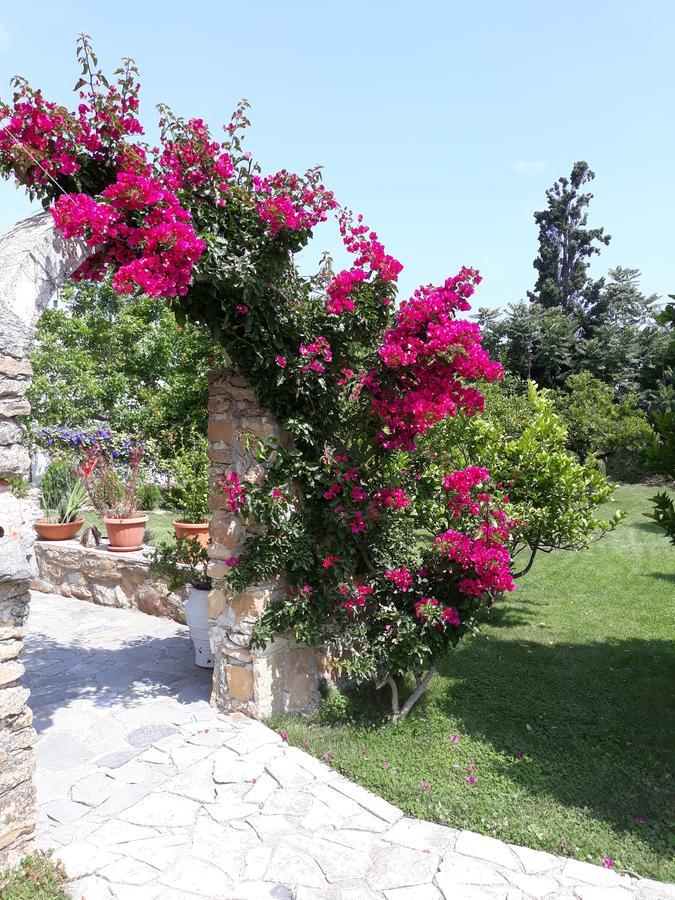 Garden Rooms Pirgos Psilonerou Exterior foto